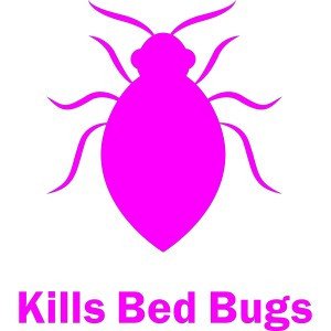 BED BUGS MOVE ALONG WITH COMMUTERS.jpg